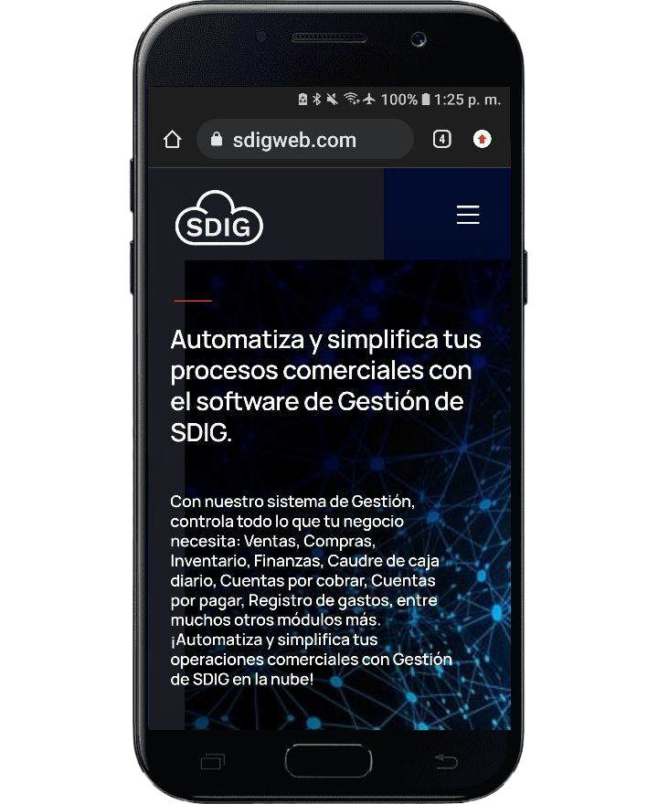 Imagen de la página web de SDIG, observando el diseño responsive desde un celular.